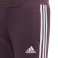 Hooded Cotton Jogginganzug