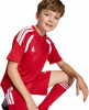 adidas TIRO26L JSY Y Trikot CLIMACOOL