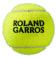 R.Garros All Court