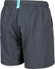 Arena Fundamentals Logo Badeshorts