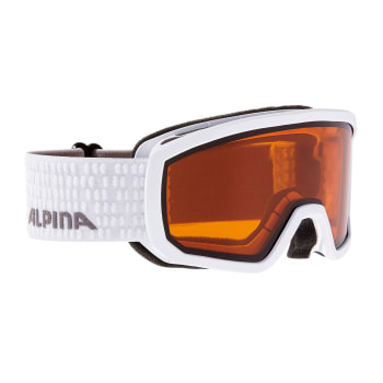 Alpina Scarabeo DH Skibrille