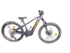 Lapierre Overvolt HT 9:7