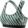 Dynafit Alpine Graphic Sport-BH