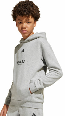 adidas ALL SZN Graphic Hoodie