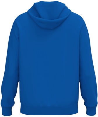 Rückansicht eines blauen Kapuzenpullovers auf weißem Hintergrund. Rückansicht eines blauen Kapuzenpullovers auf weißem Hintergrund.