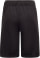 Desgined 2 Move Shorts