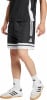 adidas SQ25 DT SHO Short