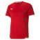 Teamliga Trainingstrikot