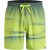 Firefly Lucio Badeshorts