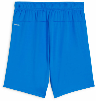Puma teamGOAL Shorts