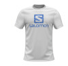 Salomon Outlite Logo férfi póló