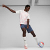 Puma Future Pro FG/AG Fußballschuhe