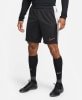 Nike Dri-FIT Academy23 férfi rövidnadrág