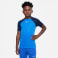Dri-Fit Academy Trainingstrikot