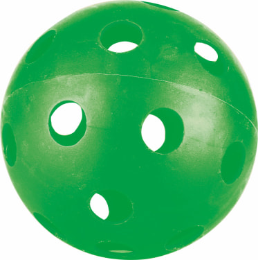 Pickleball 2 Schläger