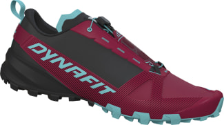 Traverse GTX Traillaufschuhe