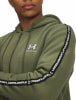Under Armour Icon Fleece Kapuzenjacke