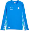 Ein blaues Langarm-Sportshirt mit Puma-Logo und Vereinswappen.