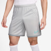 Nike Academy Dri-FIT Shorts
