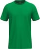 Grünes Herren-T-Shirt mit kurzen Ärmeln und Erima-Logo auf der Schulter.