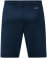 Challenge Shorts