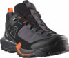 Salomon X Ultra Alpine GTX Outdoorschuhe