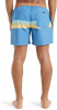 Quiksilver Everyday Straight Badeshorts