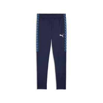 Puma teamLIGA26 Training Trainingshose 100%PES, dryCELL