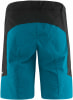 Löffler Voyage-E CSL Radshorts