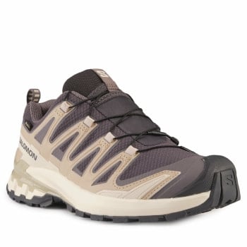 Salomon XA Pro 3D V9 GTX Traillaufschuhe