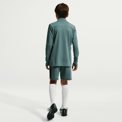 Nike Academy 25 7" Fussballshorts