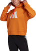 adidas Future Icons Hoodie