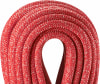 Edelrid Boa Kletterseil