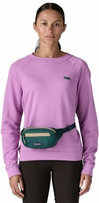 Patagonia Terravia Mini Hüfttasche