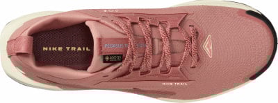 Nike Pegasus Trail 5 GTX Traillaufschuhe