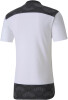 Puma teamFINAL 21 Casuals férfi póló