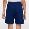 Nike Erling Haaland Academy kraťasy