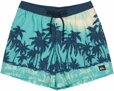 Quiksilver Everyday Badeshorts