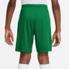 Nike Park III Trainingsshorts