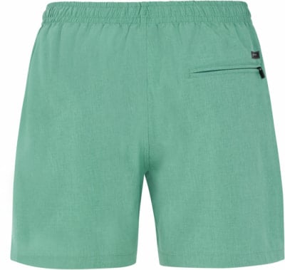 Protest Davey Badeshorts