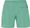 Protest Davey Badeshorts