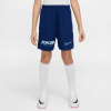 Nike Erling Haaland Academy kraťasy