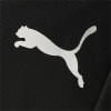 Puma teamFINAL Sporttasche