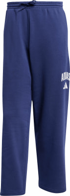 adidas M COLLEGIATE PT Pant