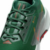 Nike Pegasus Trail 5 GTX Traillaufschuhe