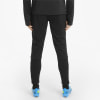 Puma teamLIGA Trainingshose