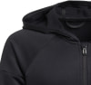 adidas Equipment Kapuzenjacke