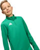 Junge in einem grünen Sweatshirt mit Adidas-Logo, weißer Hintergrund.