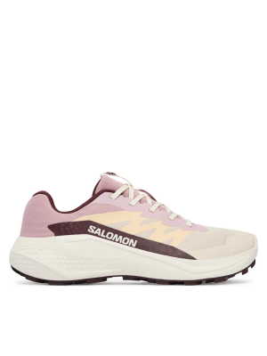 Salomon Alphaglide trailové běžecké boty