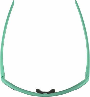 Alpina Bonfire Sportsonnenbrille